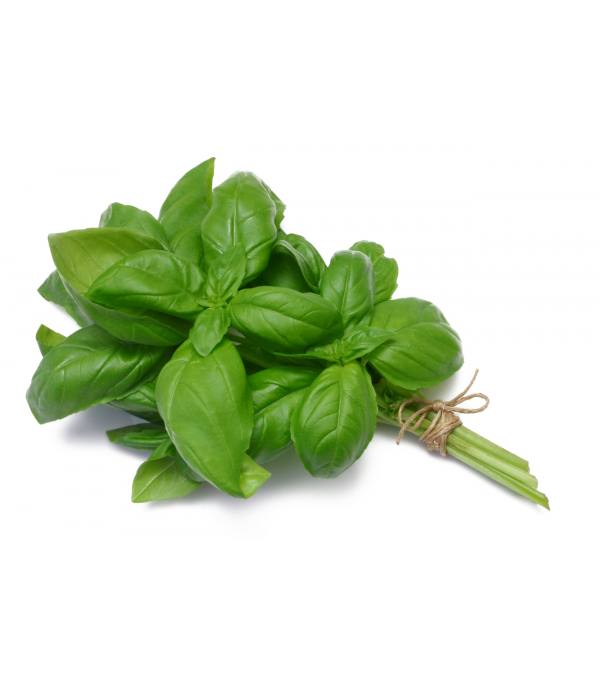 Achat en ligne BASILIC sur cash-alimentaire.com