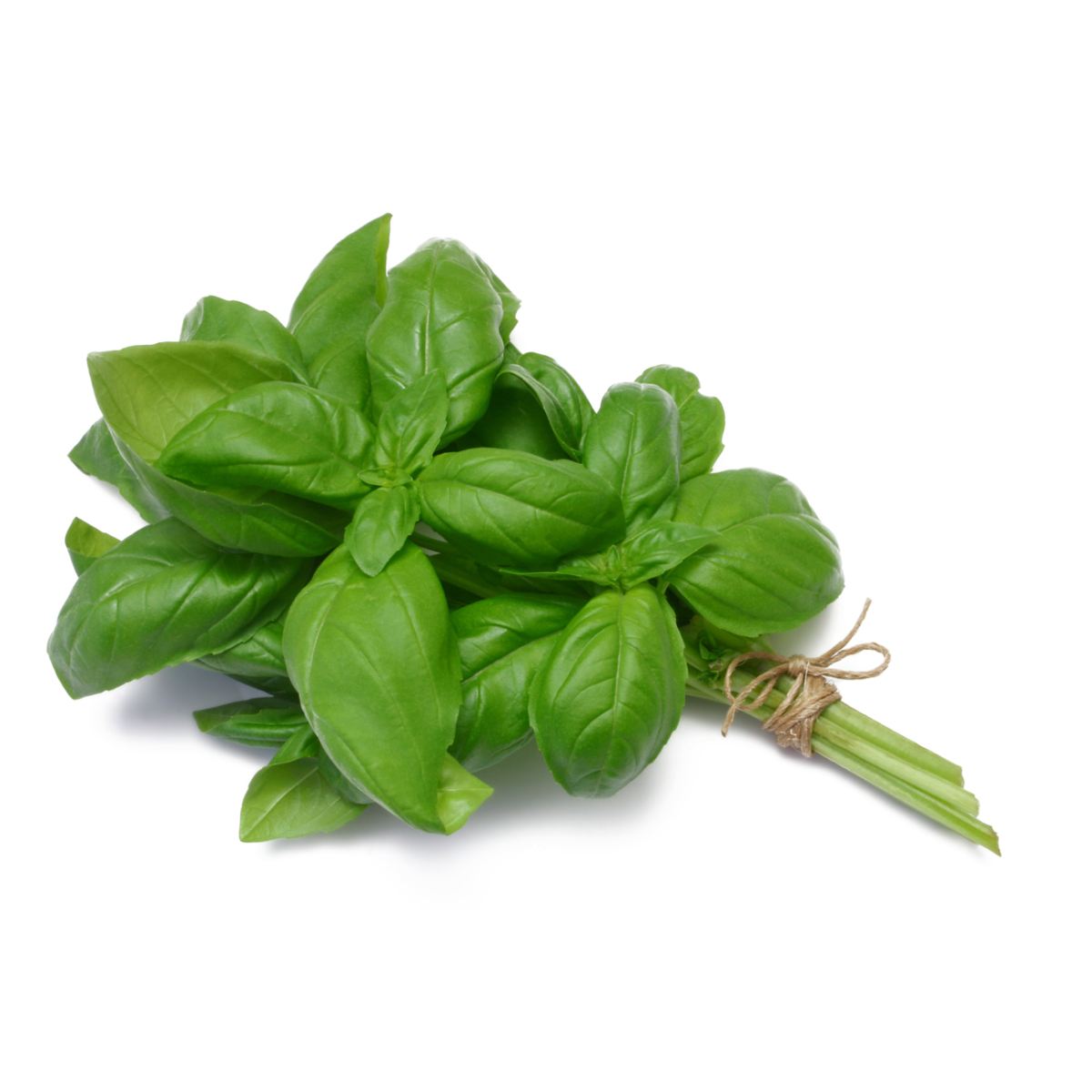 Achat en ligne BASILIC sur cash-alimentaire.com