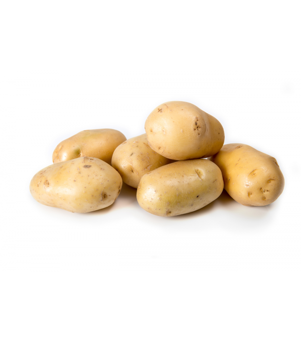 Achat en ligne POMME DE TERRE AGATA X 15KG sur cash-alimentaire.com