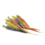 Achat en ligne CAROTTE MIXTE sur cash-alimentaire.com