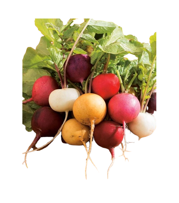 Achat en ligne RADIS MIXTE sur cash-alimentaire.com