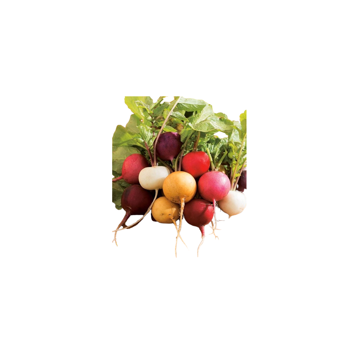 Achat en ligne RADIS MIXTE sur cash-alimentaire.com
