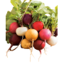 Achat en ligne RADIS MIXTE sur cash-alimentaire.com