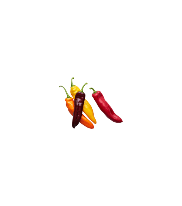 Achat en ligne POIVRON SALADE MIXTE sur cash-alimentaire.com