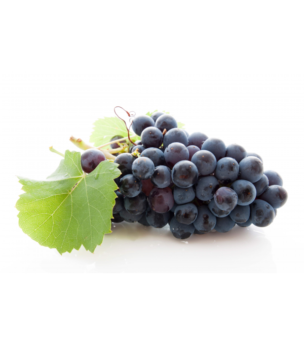 Achat en ligne de RAISIN NOIR PRIMA BOYER