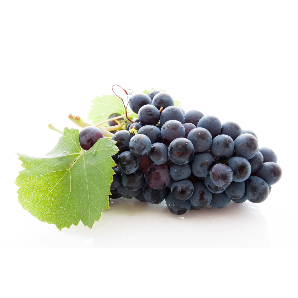 Achat en ligne de RAISIN NOIR PRIMA BOYER