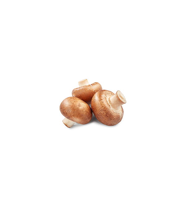 Achat en ligne CHAMPIGNONS BRUN ITALIE sur cash-alimentaire.com