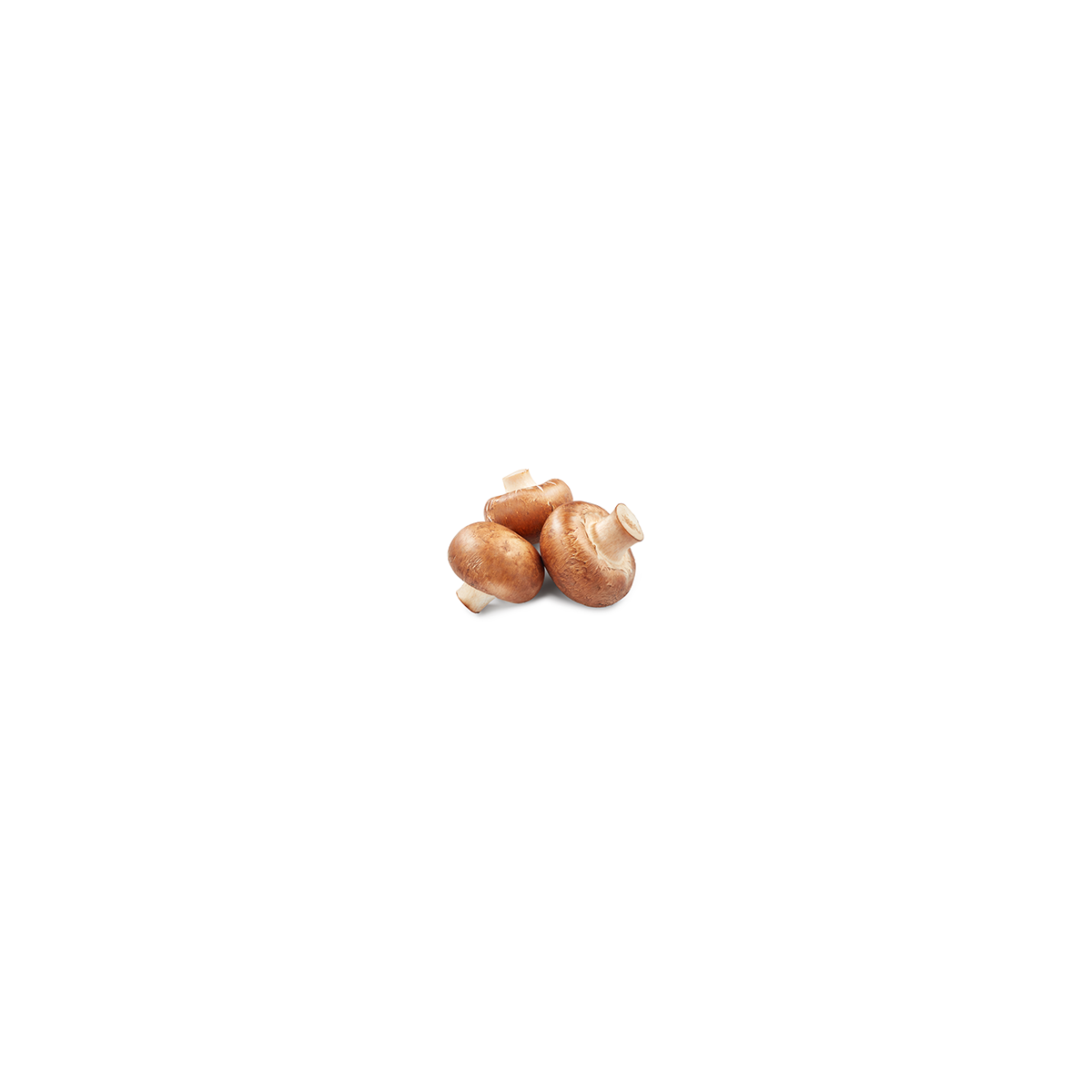 Achat en ligne CHAMPIGNONS BRUN ITALIE sur cash-alimentaire.com