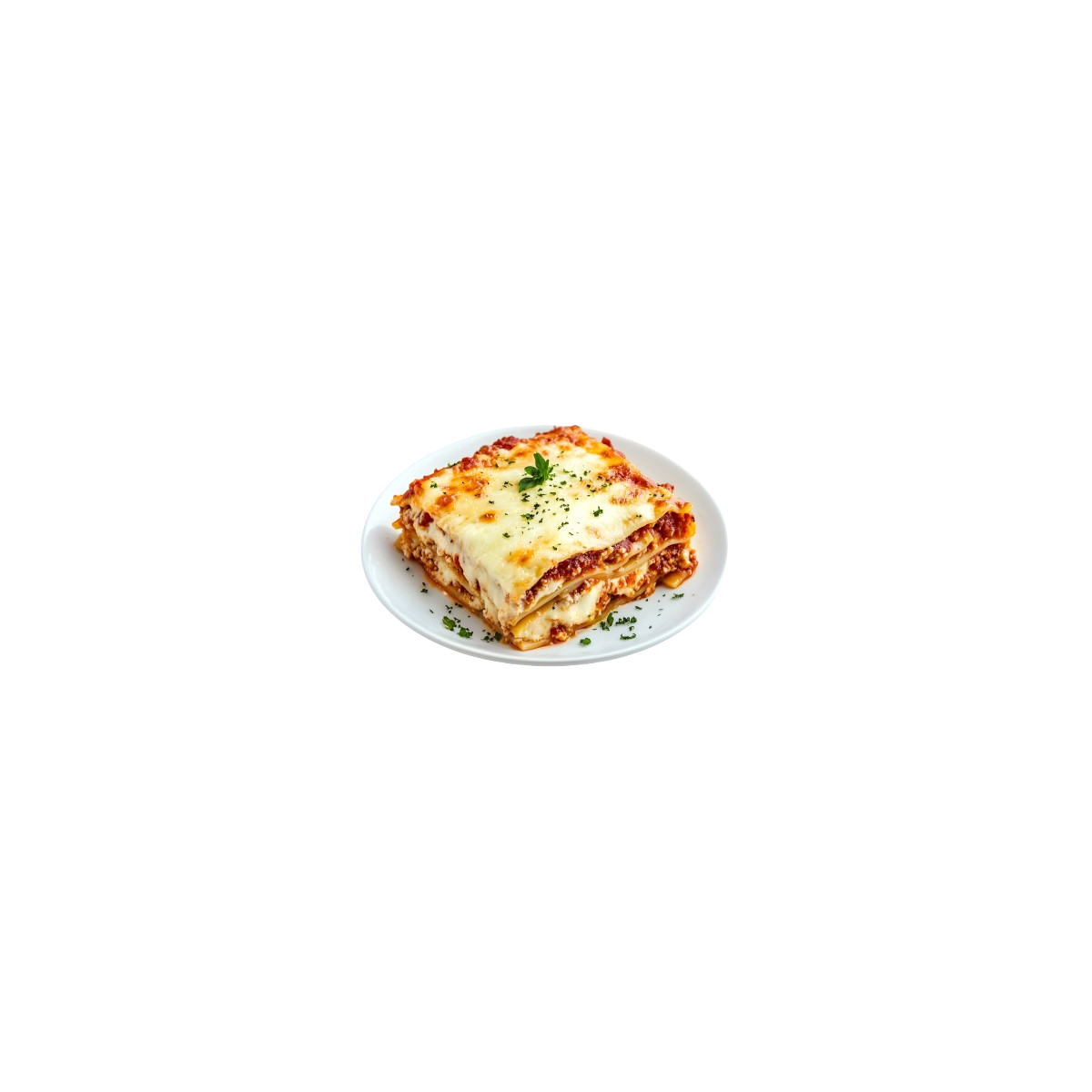 Achat en ligne LASAGNE A LA BOLOGNAISE sur cash-alimentaire.com
