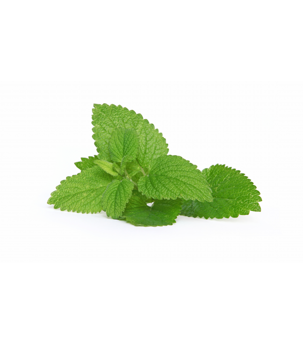 Achat en ligne MENTHE MOJITO FRANCE SACHET 500GR sur cash-alimentaire.com