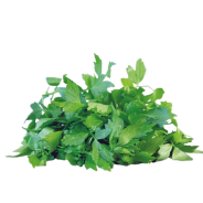 Achat en ligne LIVECHE FRANCE X 5 BRINS LE PAQUET sur cash-alimentaire.com