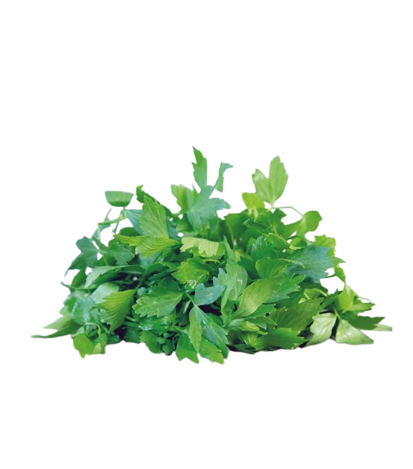 Achat en ligne LIVECHE FRANCE X 5 BRINS LE PAQUET sur cash-alimentaire.com