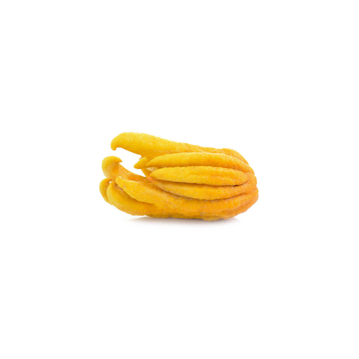 Achat en ligne MAIN DE BOUDDHA LA PIECE sur cash-alimentaire.com