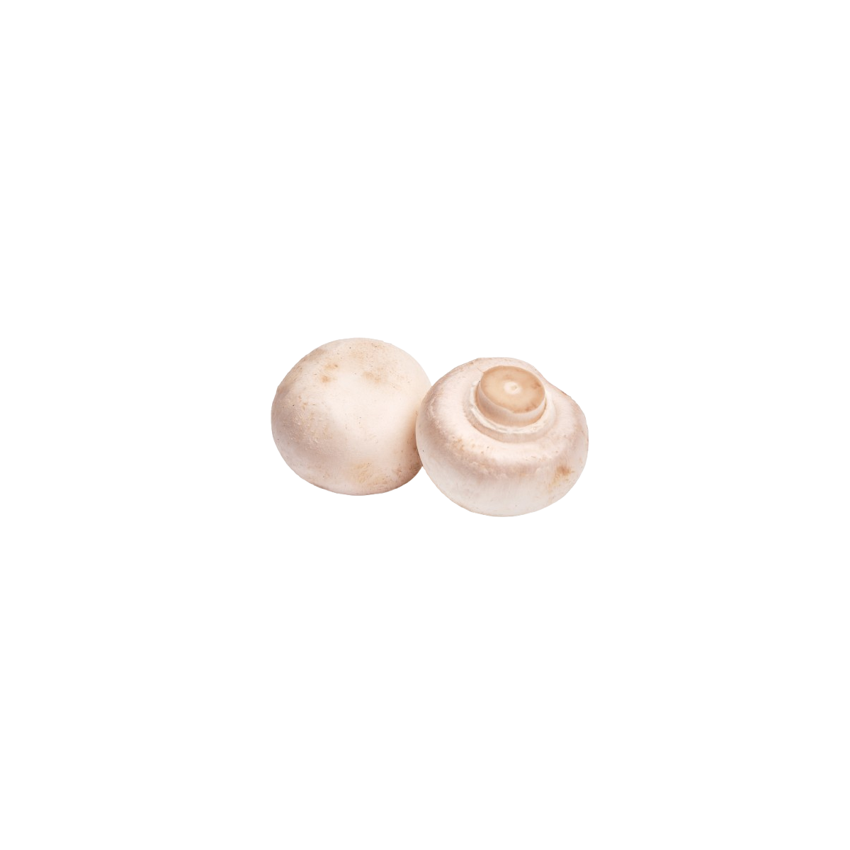 Achat en ligne CHAMPIGNONS PARIS MOYEN POLONAIS sur cash-alimentaire.com