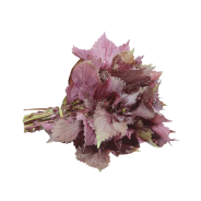 Achat en ligne FEUILLE DE TIA TO 100GR sur cash-alimentaire.com