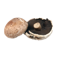 Achat en ligne CHAMPIGNON PORTO BELLO 2 KG FRANCE sur cash-alimentaire.com