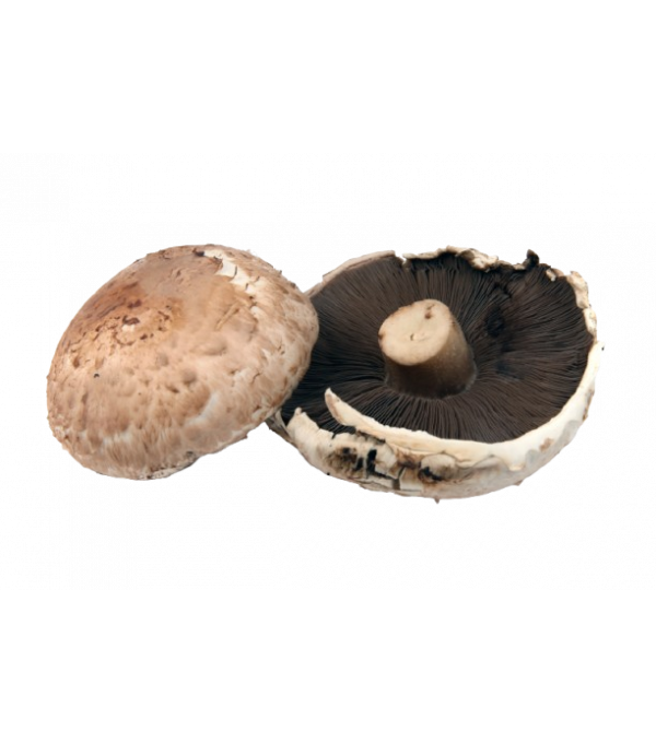 Achat en ligne CHAMPIGNON PORTO BELLO 2 KG FRANCE sur cash-alimentaire.com
