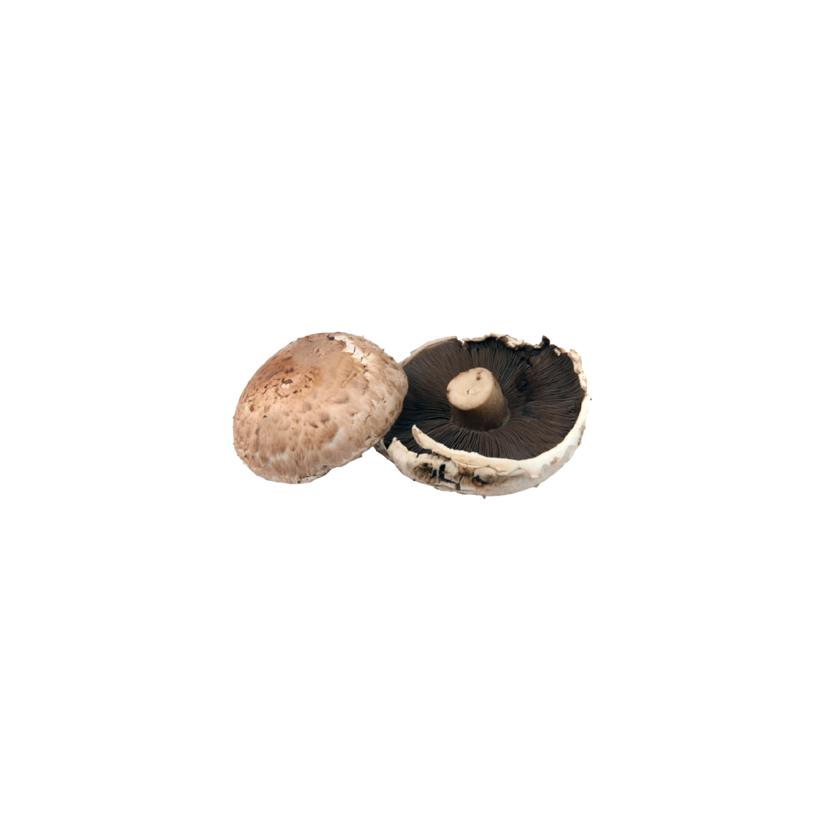 Achat en ligne CHAMPIGNON PORTO BELLO 2 KG FRANCE sur cash-alimentaire.com