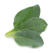 Achat en ligne FEUILLES HUITRES sur cash-alimentaire.com