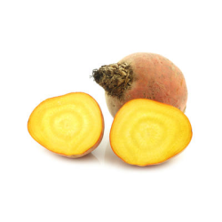 Achat en ligne BETTERAVE JAUNE sur cash-alimentaire.com