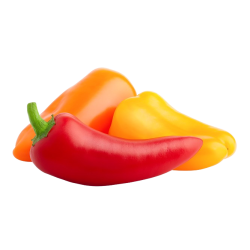 Achat en ligne MINI POIVRON 3 COULEURS sur cash-alimentaire.com