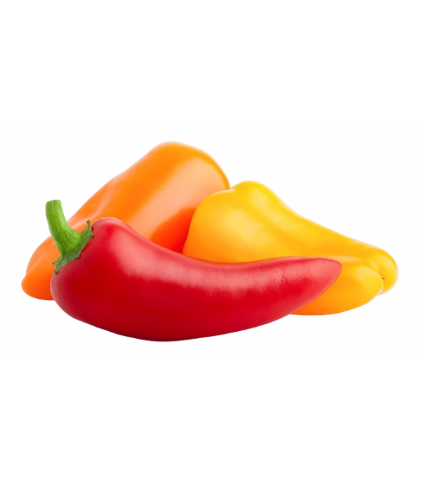 Achat en ligne MINI POIVRON 3 COULEURS sur cash-alimentaire.com
