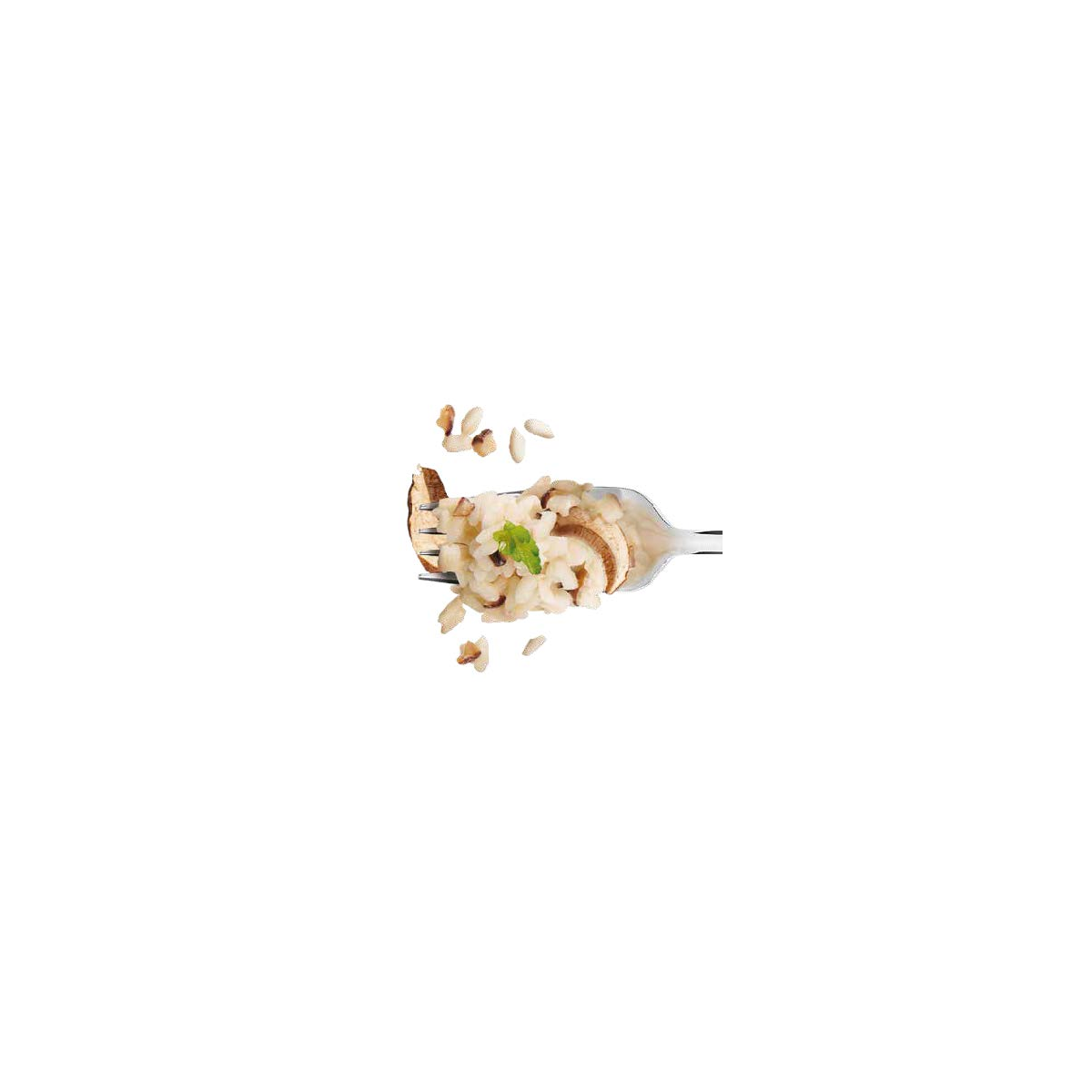 Achat en ligne RISOTTO AUX CEPES 300GR sur cash-alimentaire.com