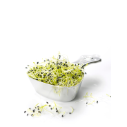 Achat en ligne GERME MIXTE HOLLANDE 50GR sur cash-alimentaire.com