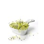 Achat en ligne GERME MIXTE HOLLANDE 50GR sur cash-alimentaire.com