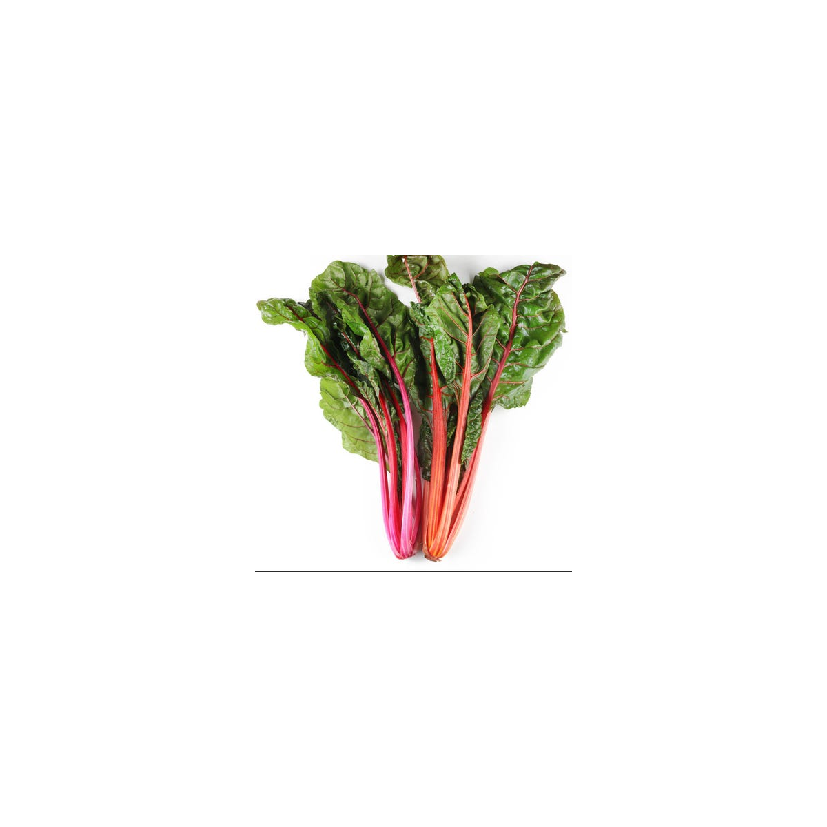 Achat en ligne BLETTE COLOREE FRANCE LA BOTTE sur cash-alimentaire.com