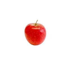 Achat en ligne POMME BABY ROCKIT FRANCE sur cash-alimentaire.com