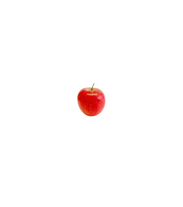Achat en ligne POMME BABY ROCKIT FRANCE sur cash-alimentaire.com