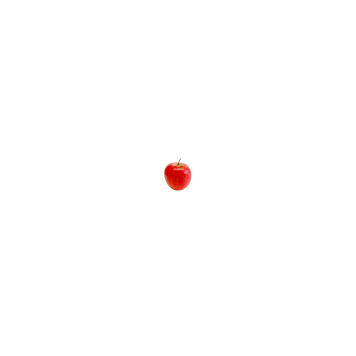 Achat en ligne POMME BABY ROCKIT FRANCE sur cash-alimentaire.com