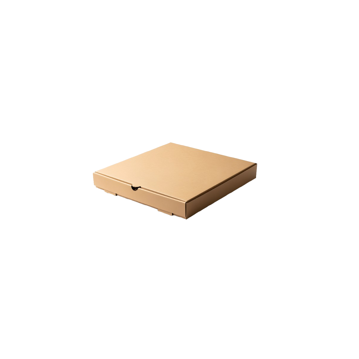 Achat en ligne BOITE PIZZA  29 X H3CM X 100 UNITES TREVISO le carton sur cash-alimentaire.com