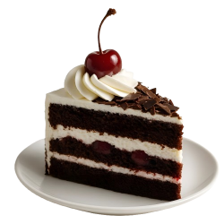 Achat en ligne FORET NOIRE DIAMETRE 24CM 1.2 KG LA PIECE sur cash-alimentaire.com