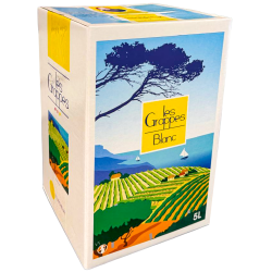 Vin Blanc d’Espagne BIB 5 L – Les Grappes