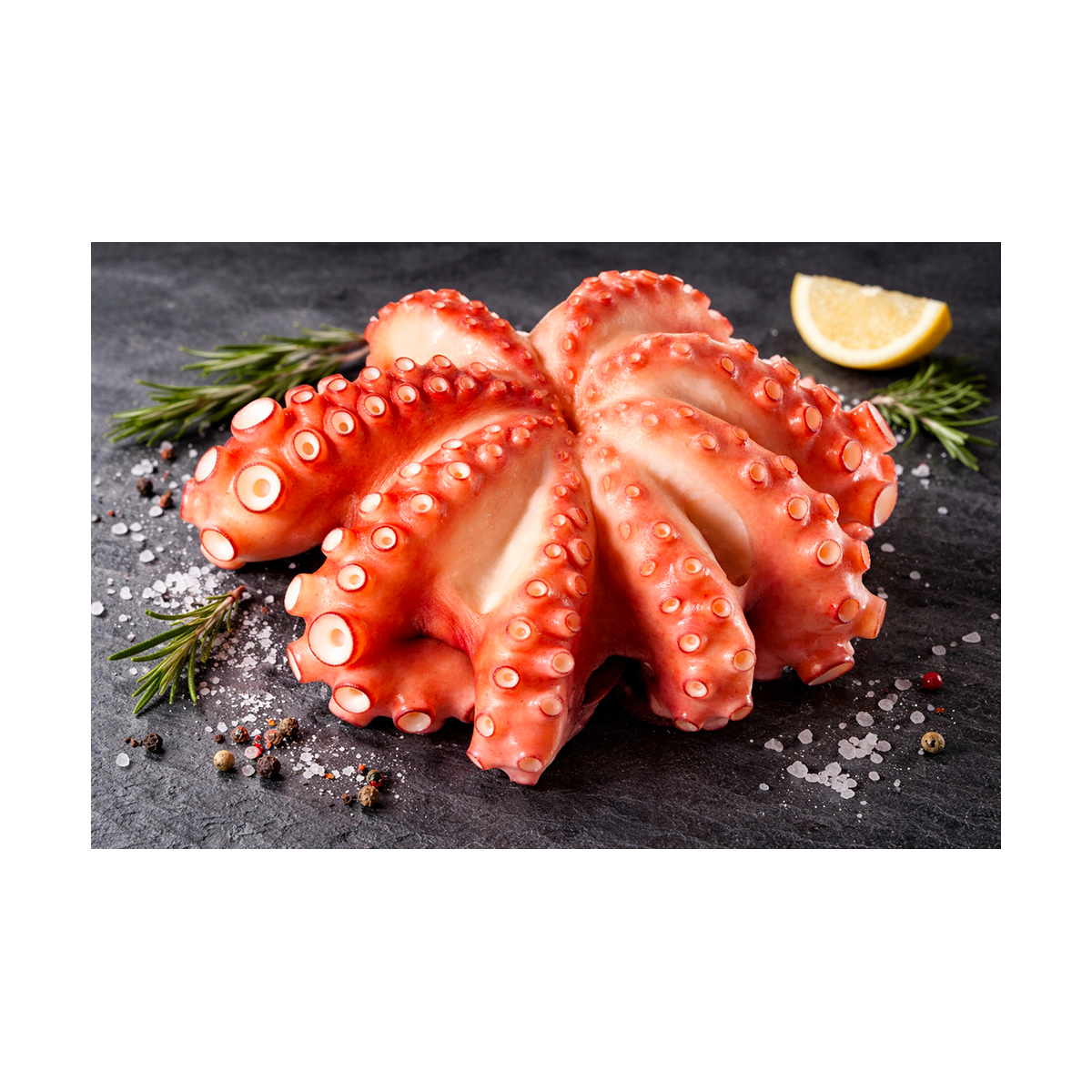 Poulpe entier nettoyé surgelé 1,5/2kg King Octopus – Octopus vulgaris FAO34