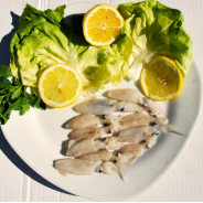 Calamars entiers friture surgelés 80+ kg Amarras 900g – encornets Inde FAO51