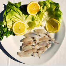 Calamars entiers friture surgelés 80+ kg Amarras 900g – encornets Inde FAO51