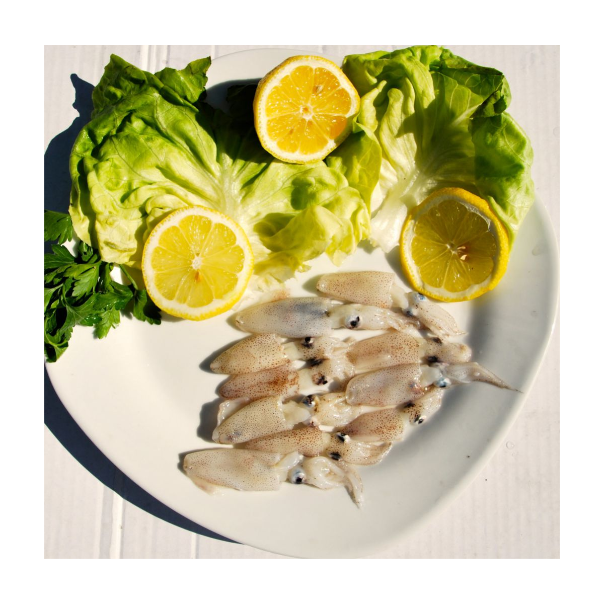 Calamars entiers friture surgelés 80+ kg Amarras 900g – encornets Inde FAO51
