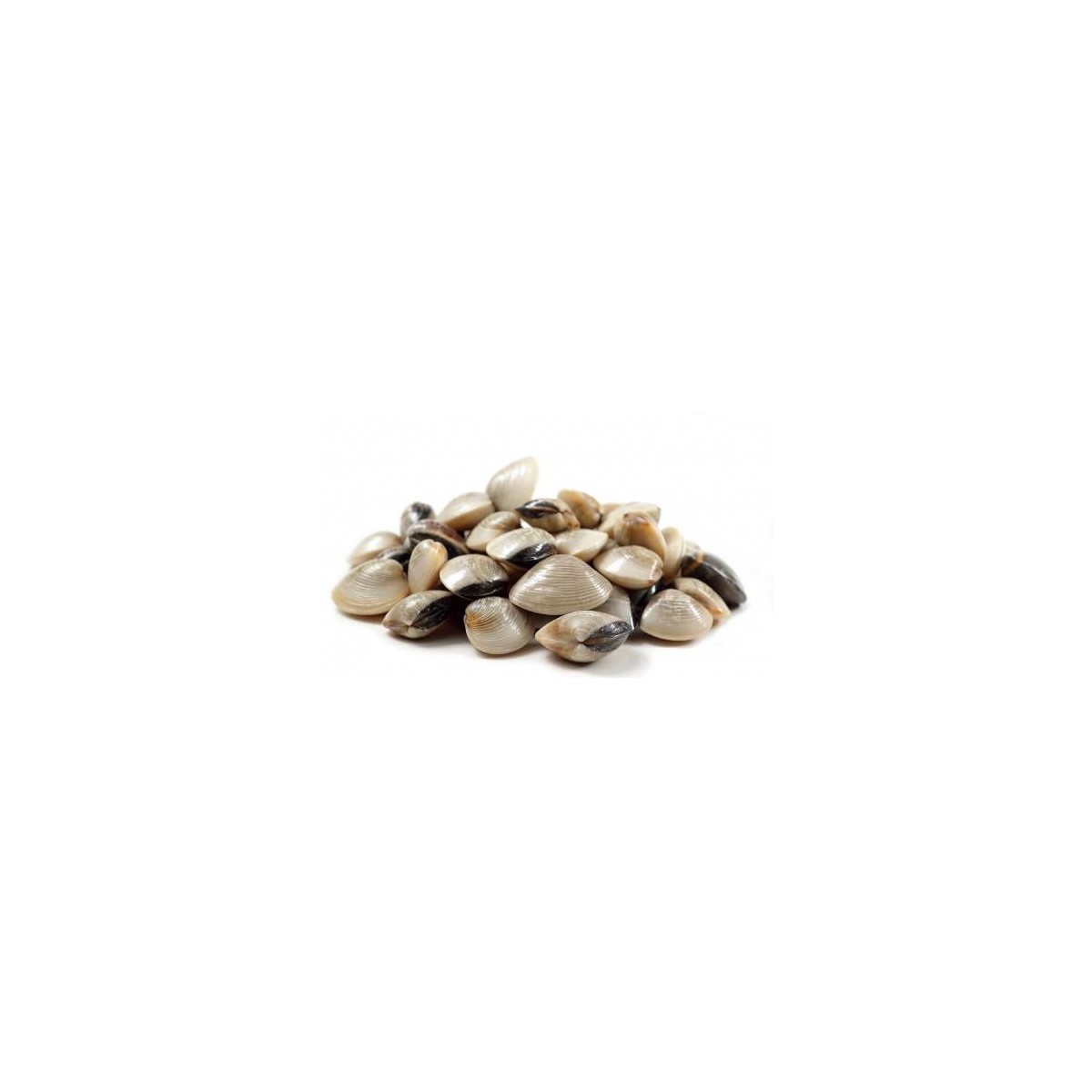 PALOURDE ENTIERE CUITE BRASMAR - prix grossiste - cash-alimentaire.com