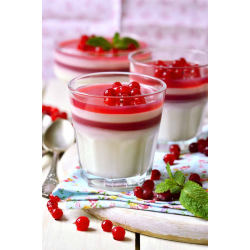 GELEE DE GROSEILLE BERGER FRUITS au prix de gros - cash-alimentaire.com