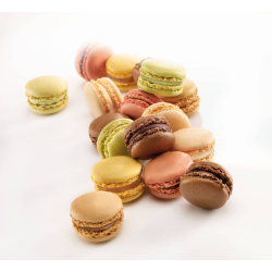 MINI MACARON PUR AMANDE PASQUIER - prix grossiste - cash-alimentaire.com