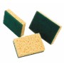 EPONGE DOUBLE FACE GRATANTE SPONTEX - prix grossiste - cash-alimentaire.com