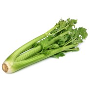 Destockage CELERI VERT BRANCHE MERIDIONALE - cash-alimentaire.com