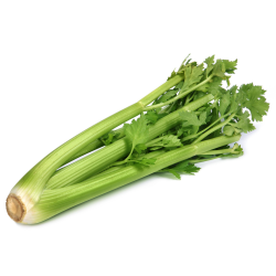 Destockage CELERI VERT BRANCHE MERIDIONALE - cash-alimentaire.com