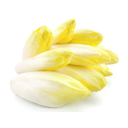 Destockage ENDIVE JAUNE TOMABEL - cash-alimentaire.com