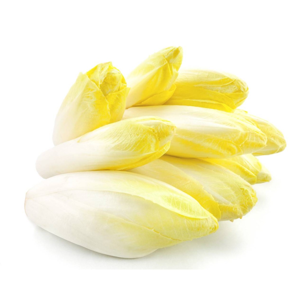 Destockage ENDIVE JAUNE TOMABEL - cash-alimentaire.com