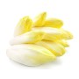 Destockage ENDIVE JAUNE TOMABEL - cash-alimentaire.com