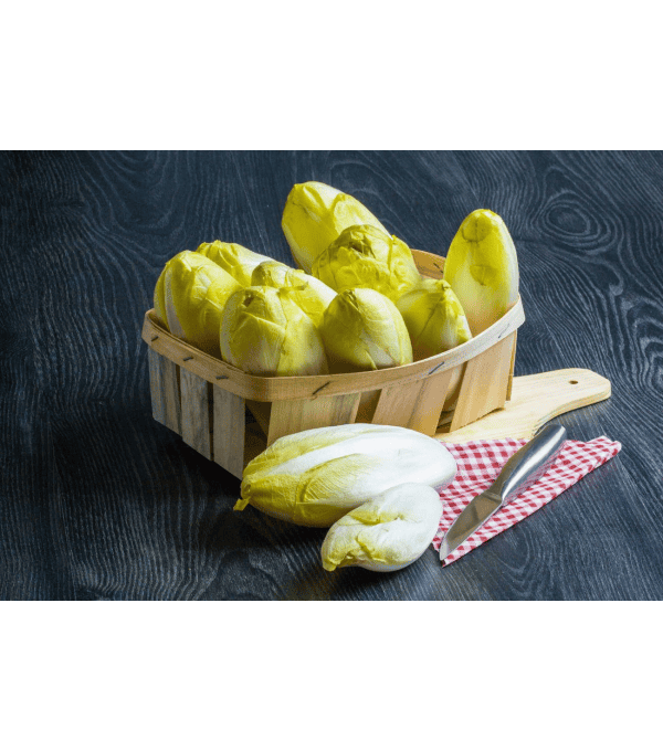 Destockage ENDIVE JAUNE TOMABEL - cash-alimentaire.com